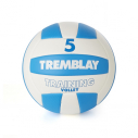 PVC volleyball - size 5 - 265/285 gr - blue/white                    