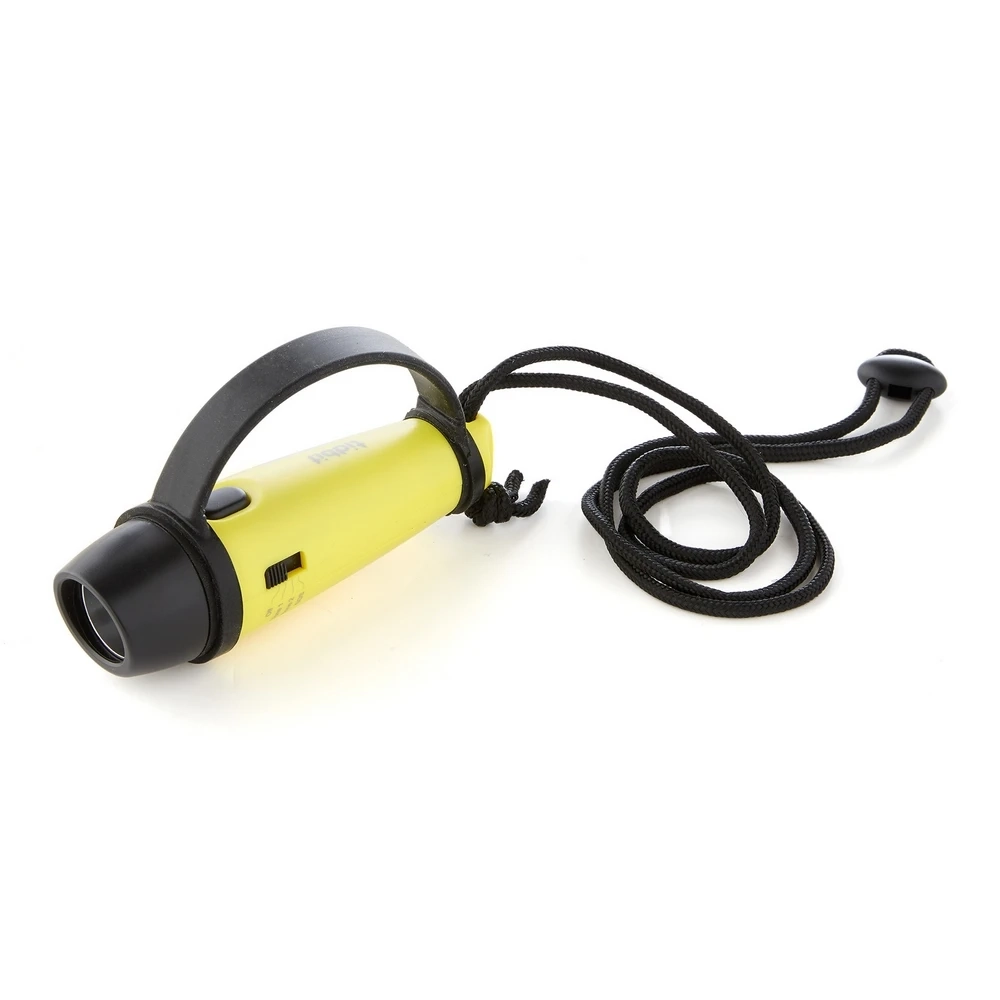 Electronic hand whistle                                              