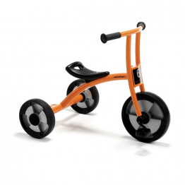 Tricycle, large                                                      